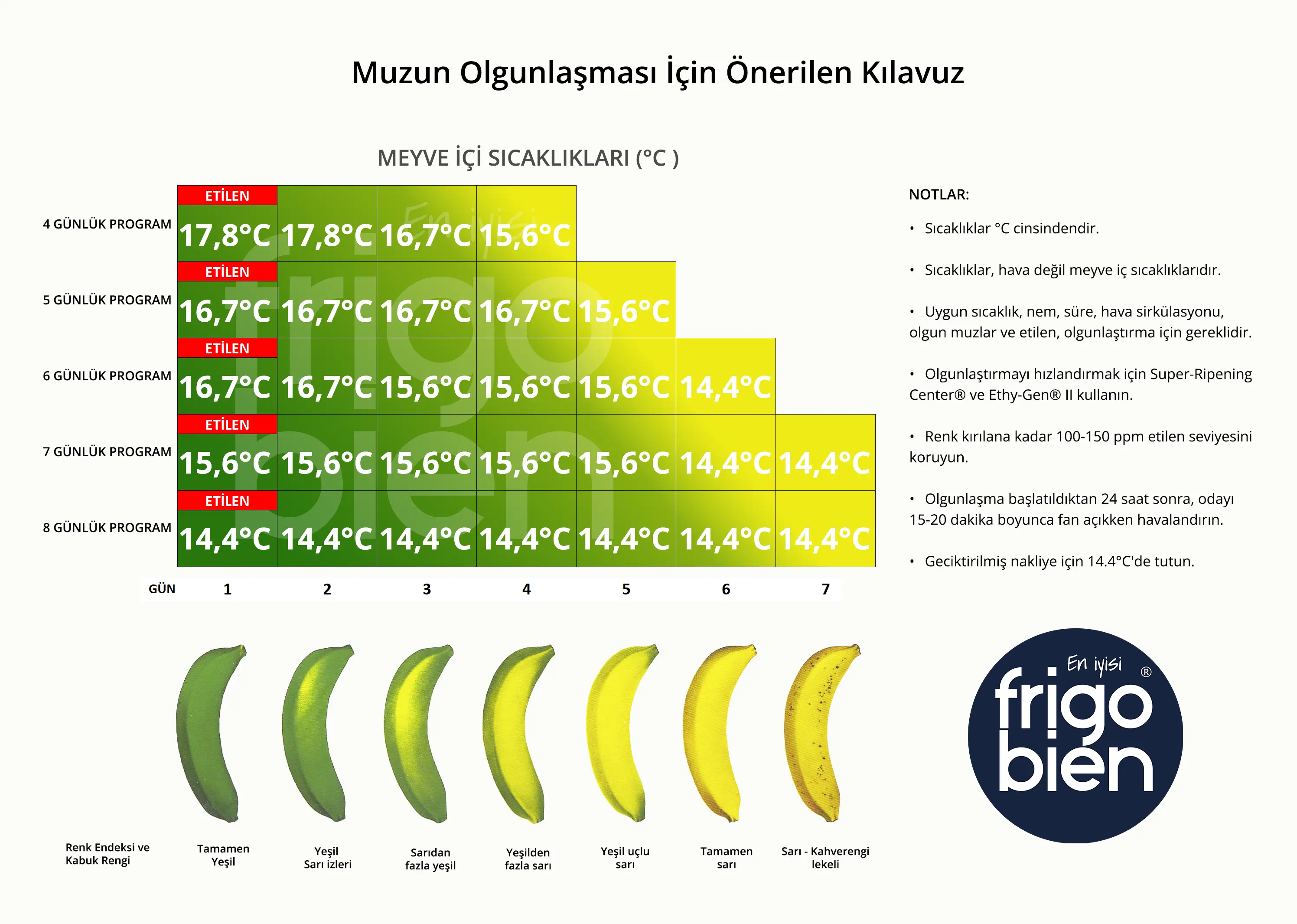 Muz Sarartma Tesisi Maliyeti